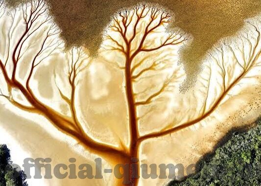 巴黎足球VS红星比分-巴黎足球激战红星，一场跌宕起伏的比分盛宴