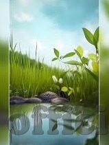 足球比分身价-足球世界里的数字游戏，比分与身价背后的经济逻辑与竞技真相