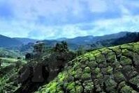 足球直播比分牌制作-零基础打造专业级足球直播比分牌，从设计到落地的全流程指南